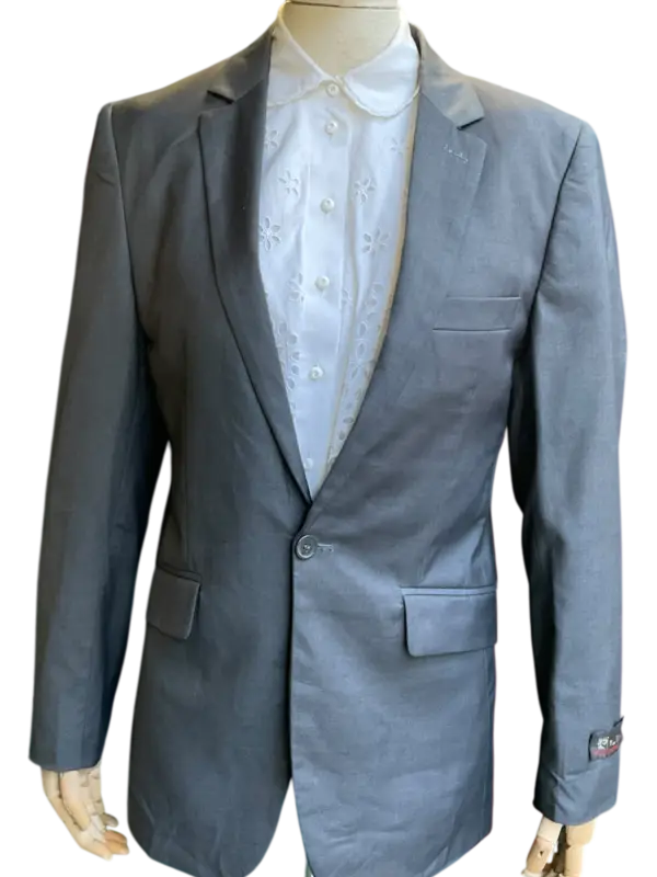 Pierre Cardin Blazer